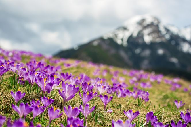 To najładniejsza wieś w Małopolsce