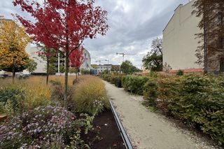 Park im. Wisławy Szymborskiej w Krakowie