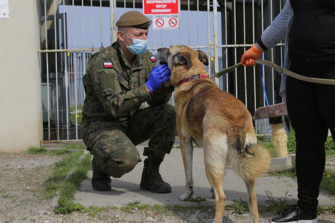 Terytorialsi: Prawie 3 tony karmy dla zwierząt