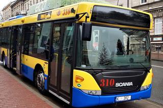 Zmiany w komunikacji miejskiej 15 sierpnia 2023 roku. Jak pojadą autobusy w Tarnowie?