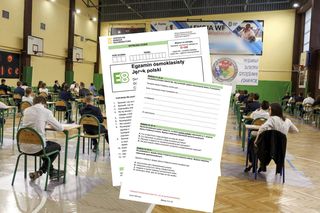 Egzamin ósmoklasisty polski 2025 wszystkie odpowiedzi + arkusze cke do ściągnięcia w PDF, JPG