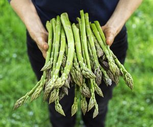 Obniżają cholesterol i mają działanie przeciwzapalne. Prosty trik sprawi, że dłużej będą świeże