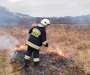 Nie wypalaj suchych traw.  Proszą strażacy i przyrodnicy!