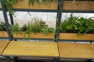 Zielona lauba w Katowicach