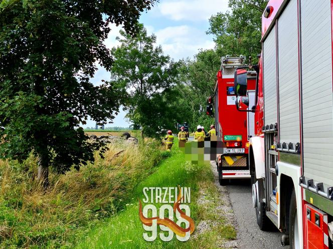 Wypadek na trasie między Strzelinem a Wrocławiem