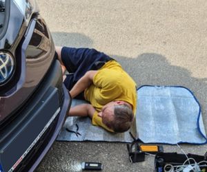  Olkusz. Zaginiona kotka Blue odnaleziona w Chorwacji. Przejechała w zderzaku ponad 1 000 kilometrów 