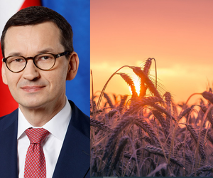 Morawiecki o skutkach wojny. „Zrobiliśmy już wiele dla polskiego rolnika”