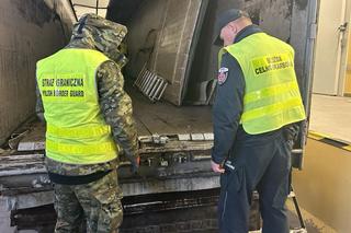„Lewe” papierosy z Białorusi ukryte pod torfem. Miały trafić do powiatu braniewskiego [ZDJĘCIA]