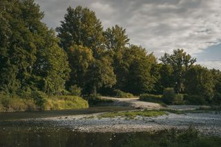 Konsultacje społeczne z mieszkańcami Winnicy. Jaka przyszłość czeka zielona płuca Torunia?