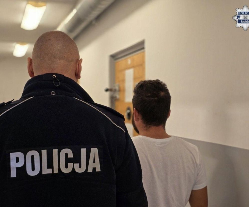 Wielka awantura w Pietrowicach Wielkich. Kolumbijczyk zatrzymany