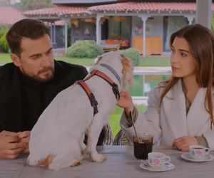 Miłość i nadzieja odc. 330. Sila, Kuzey