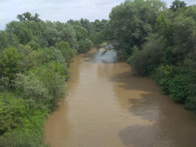 Sytuacja hydrologiczna w Tarnowie. Czy grozi nam powódź?