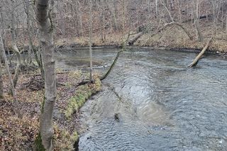 To najdłuższa rzeka województwa. Nazywana jest królową Warmii i Mazur