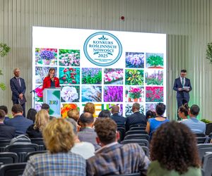 Targi Zieleń to życie 2025 - rośliny doniczkowe