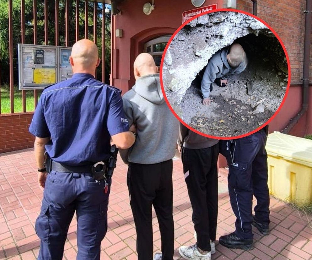 Okradali ogórdki i żyli w ziemiance. Nastolatkowie zatrzymani