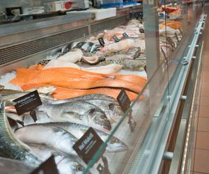  Łosoś kontra dorsz. Sprawdzamy, która ryba jest zdrowsza