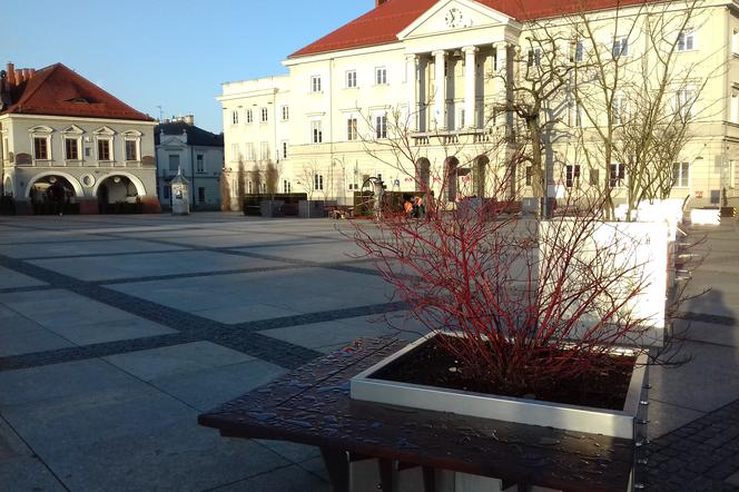 Kolorowe ławeczki już niebawem pojawią się w Kielcach