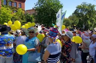 Jedenasty Marsz Kapeluszowy w Bydgoszczy