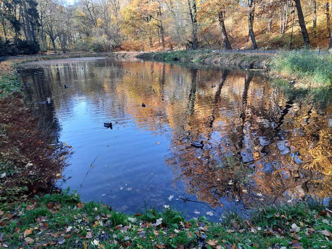 Park Miejski w Toruniu