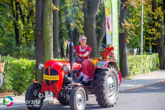 Dożynki miejskie w Jaworznie