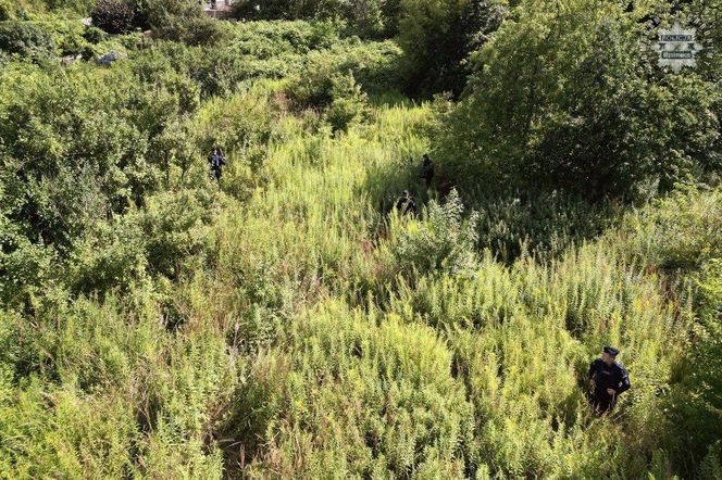 Wciąż trwają poszukiwania 89-letniego Wiktora Graca. Policja ponownie apeluje o pomoc
