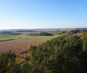 Byliśmy na najwyższej wieży w Podlaskiem. Co za widoki jesieni!
