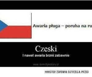 Czeskie memy są najlepsze! Będziecie płakać ze śmiechu