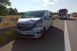 Zderzyło się dziewięć pojazdów, jedna osoba poszkodowana