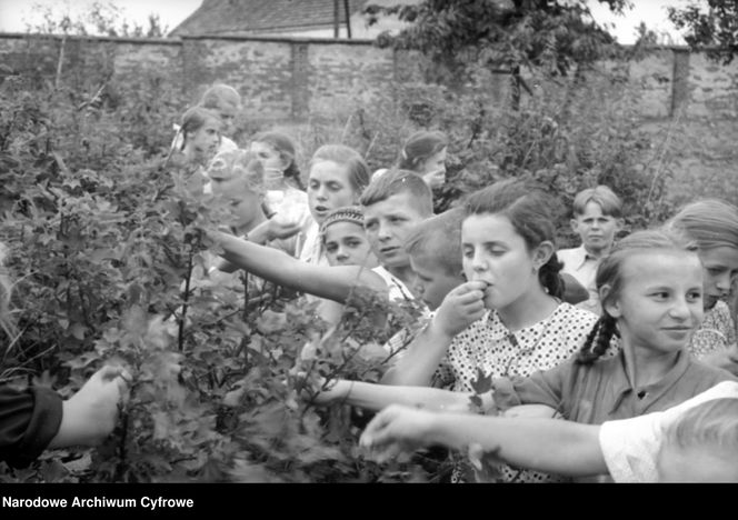 QUIZ PRL. Smaki lata w PRL-u: Czy pamiętasz letnie przysmaki swojego dzieciństwa?