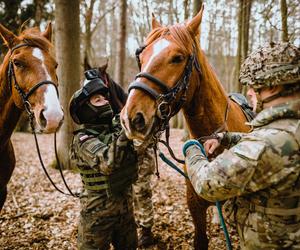 Wojska obrony terytorialnej z Lubelszczyzny ćwiczyły z końmi