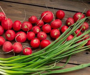 Nowalijki - zdrowie czy trucizna? Jak wybierać i przechowywać młode warzywa