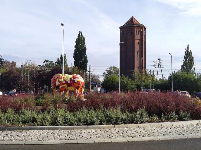 Kolorowy słoń pojawił się w Kaliszu! Gdzie można go podziwiać? [ZDJĘCIA]