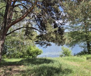 To jezioro w Olsztynie ma niezwykle czystą wodę. Jest kilka dzikich plaż, które świecą pustkami
