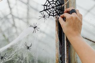 Straszne dekoracje na Halloween. Gdzie kupić ozdoby? Jak urządzić mieszkanie na Halloween?