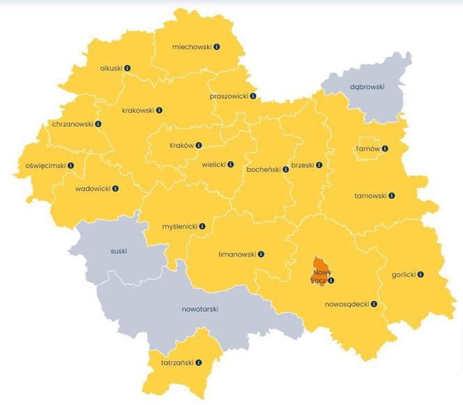 Kierowcy autobusów