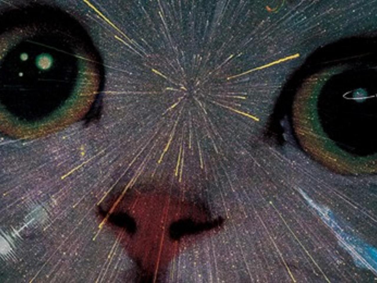 Płaskoziemcy i nie tylko. Kolejne spotkanie w ramach elbląskiej Czytelni