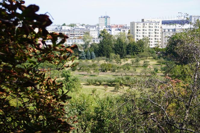 Ogród przyklasztorny sióstr szarytek w Warszawie