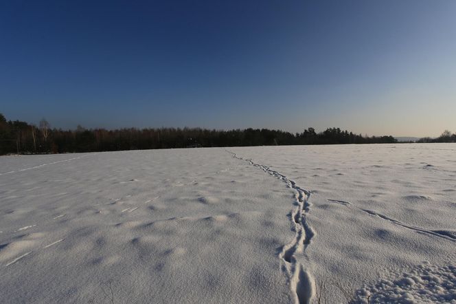 Ferie zimowe nie tylko w górach. Te kierunki także zachwycą zimowymi atrakcjami