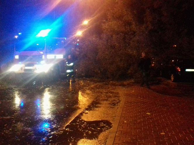 Orkan Ksawery nad Małopolską: Powalone drzewa, utrudnienia w ruchu [ZDJĘCIA, WIDEO]