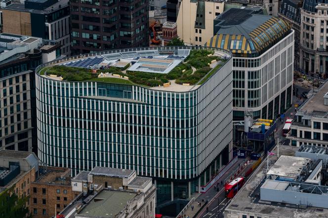 Budynek Wells Fargo Bank przy King William Street z ogrodem na dachu, Londyn