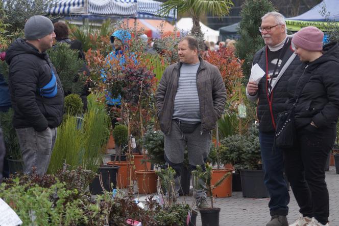 Wiosenny Kiermasz Ogrodniczy przy bydgoskim Torbydzie [ZDJĘCIA]