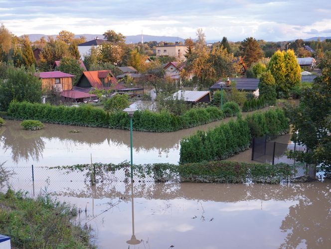 Galeria powodziowa Czechowice-Dziedzice 2024