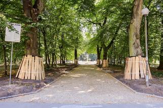 Gorzów: Parkrun nie wystartuje w sobotę w Parku Kopernika