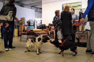 Miłośnicy czworonogów opanowali galerię BWA! Za nami pierwsze PupiLove Targi w Katowicach [ZDJĘCIA, AUDIO]