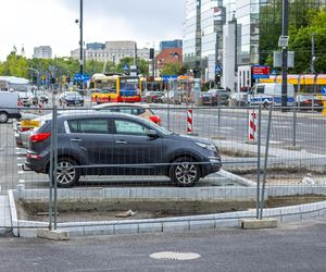 Sadzenie zieleni na placu Bankowym w maju 2025 r.