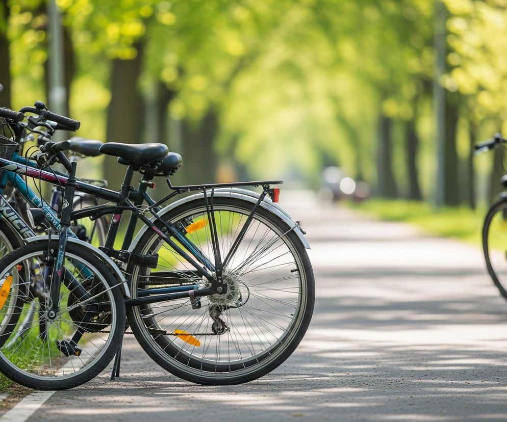 Trzy rowery stoją obok siebie na skraju asfaltowej drogi, zorientowane na prawo od środka kadru. Dwa z nich, z przodu, są ciemne, z elementami w odcieniach turkusu i fioletu, wyposażone w koszyki z przodu i bagażniki z tyłu, oraz odblaski na kołach. Trzeci rower, stojący w tle po prawej stronie drogi, jest koloru niebieskiego i wydaje się być częściowo zamazany. Droga biegnie w głąb obrazu, a po obu jej stronach rosną drzewa z jasnozielonymi liśćmi, tworząc aleję. Słońce świeci na liście, powodując rozmyte plamy światła w tle.