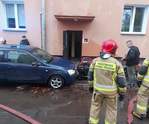 Pożar przy Żeromskiego w Starachowicach