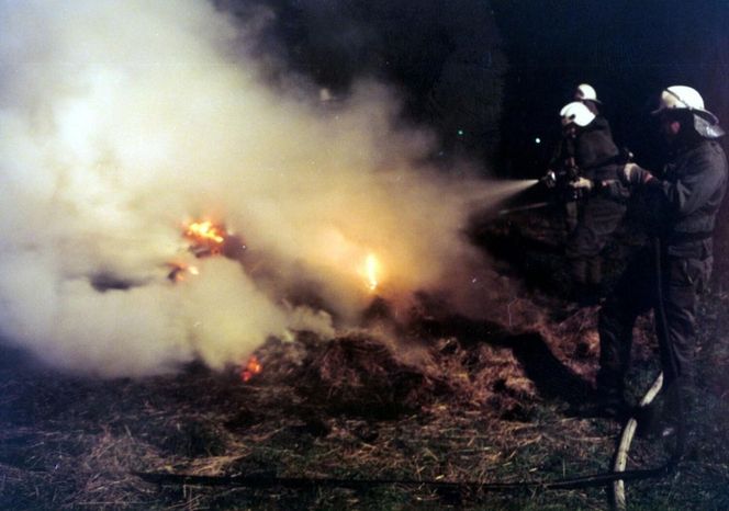 Pożar lasu w Kuźni Raciborskiej w 1992 roku
