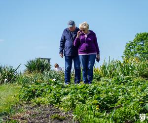 Majówka 2024 w Ogrodzie Botanicznym w Kielcach