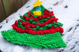 Zima w zoo we Wrocławiu. Zobacz, jak zwierzaki radzą sobie w chłodne dni 